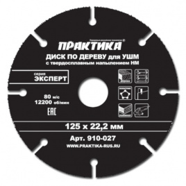 Диск по дереву с твердосплавным зерном ПРАКТИКА 125 х 22 мм арт.910-027